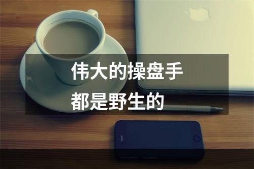 伟大的操盘手都是野生的