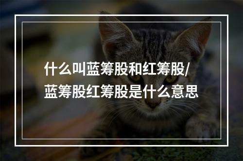 什么叫蓝筹股和红筹股/蓝筹股红筹股是什么意思