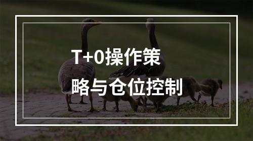 T+0操作策略与仓位控制