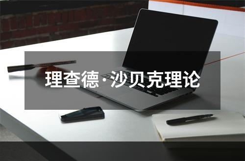 理查德·沙贝克理论