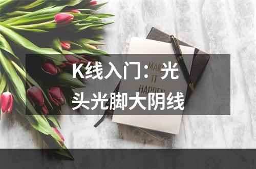 K线入门：光头光脚大阴线
