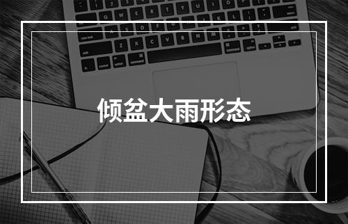 倾盆大雨形态