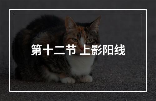 第十二节 上影阳线