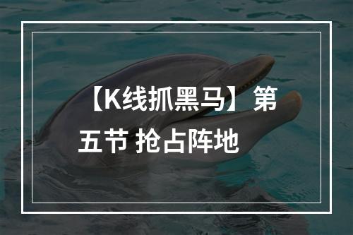 【K线抓黑马】第五节 抢占阵地