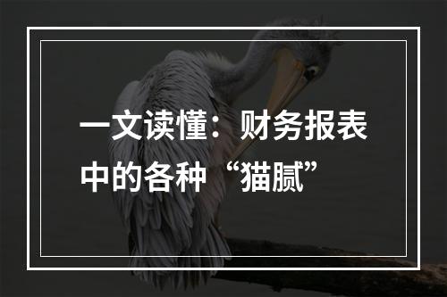 一文读懂：财务报表中的各种“猫腻”